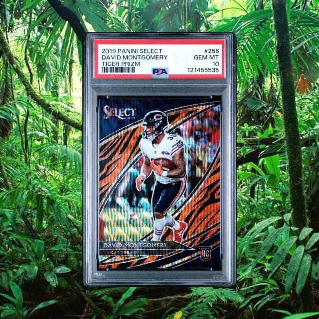 David Montgomery Panini Select #256 Tiger Prizm